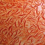 Corali6